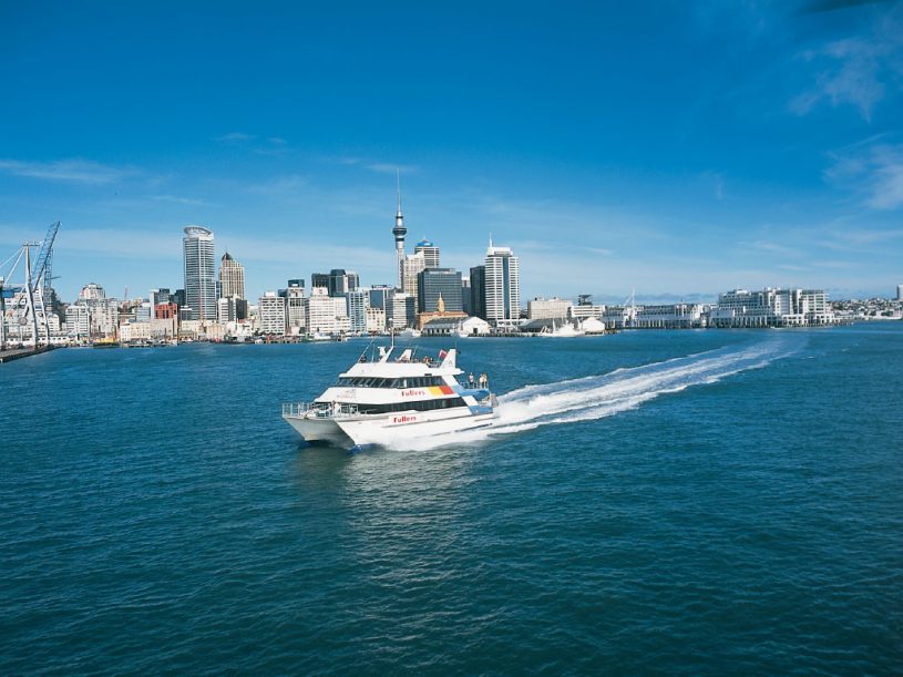 cruises from auckland december