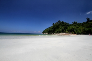 Sandy Beach Resort Packages Ami Travel Tours - 